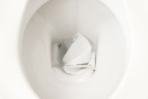 Can You Flush Paper Towels (2)