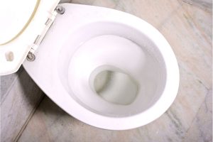 How To Fix A Toilet That Bubbles/ Gurgles When Flushed