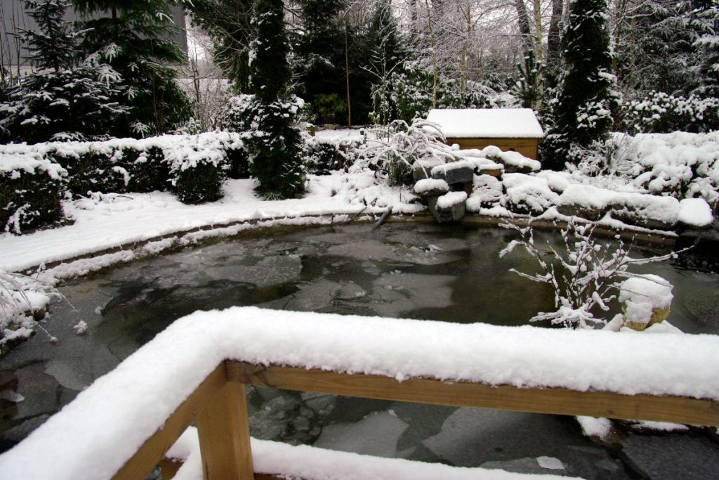 How To Heat A Pond In Winter (With And Without Electricity) Water
