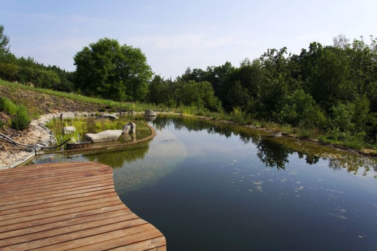 How To Make A Pond Safe For Swimming Safety Requirements, Testing And