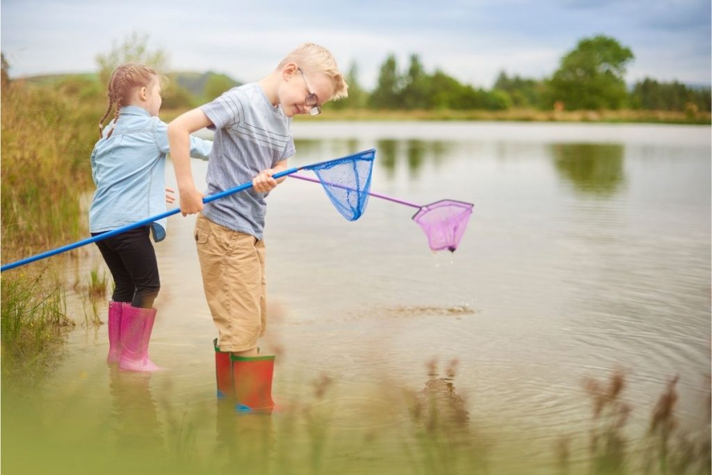 How To Make A Pond Safe For Swimming Safety Requirements, Testing And