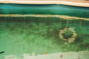 How To Use Algaecide In Your Swimming Pool