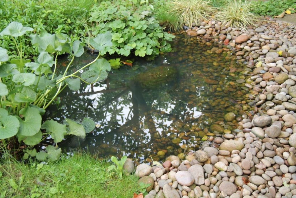 How To Drain A Garden Pond (Fast & Easy Methods) Water Heater Hub