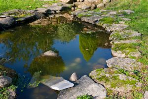 How to Keep a Pond From Freezing Without Electricity