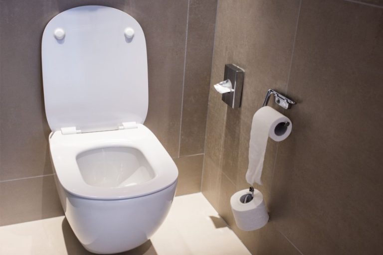 What Are Toilets Made Of? (Toilet Materials & Reasons for Using Them