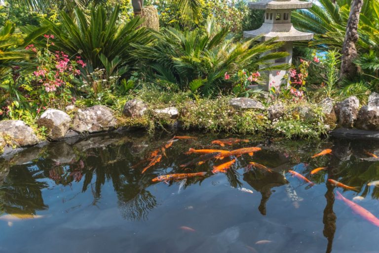 3 Actions For What To Do With Your Unwanted Pond Water Heater Hub