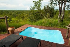 What IsA Plunge Pool? Size, Cost, And More