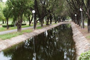 What Is A Swale Drain For Yards And Should You Get One?
