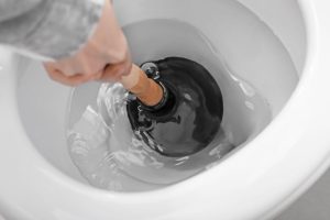 What Liquids Can You Use To Unclog A Toilet? Is Drano Ok?