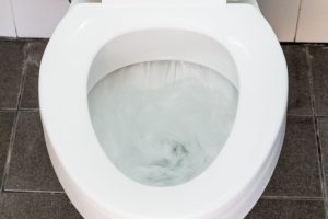 Why Is My Toilet Water Blue