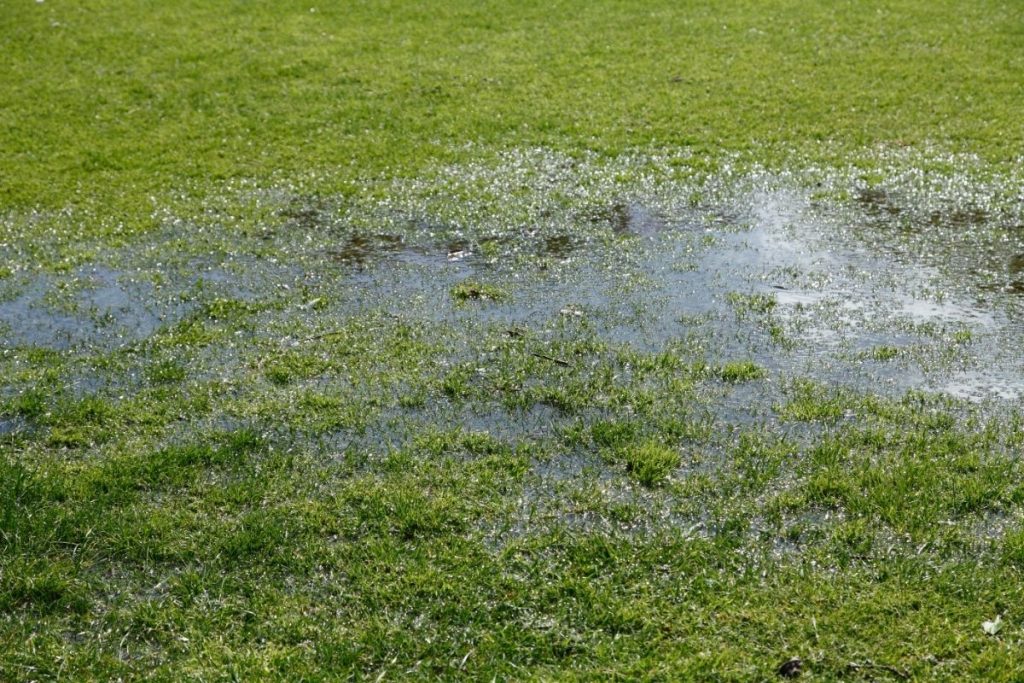 Why Is Water Coming Out Of The Ground In My Yard? Water Heater Hub