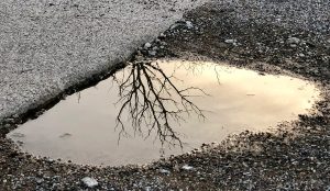 Why Is Water Coming Out Of The Ground In My Yard?