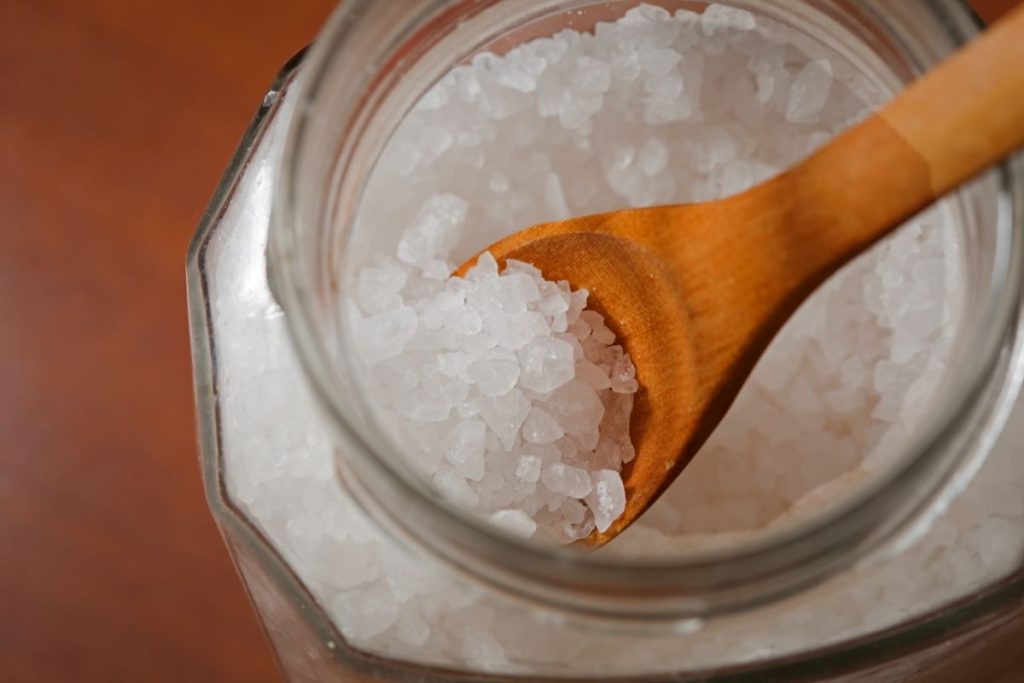 Will Bleach Kill Tree Roots In A Sewer Line? Water Heater Hub