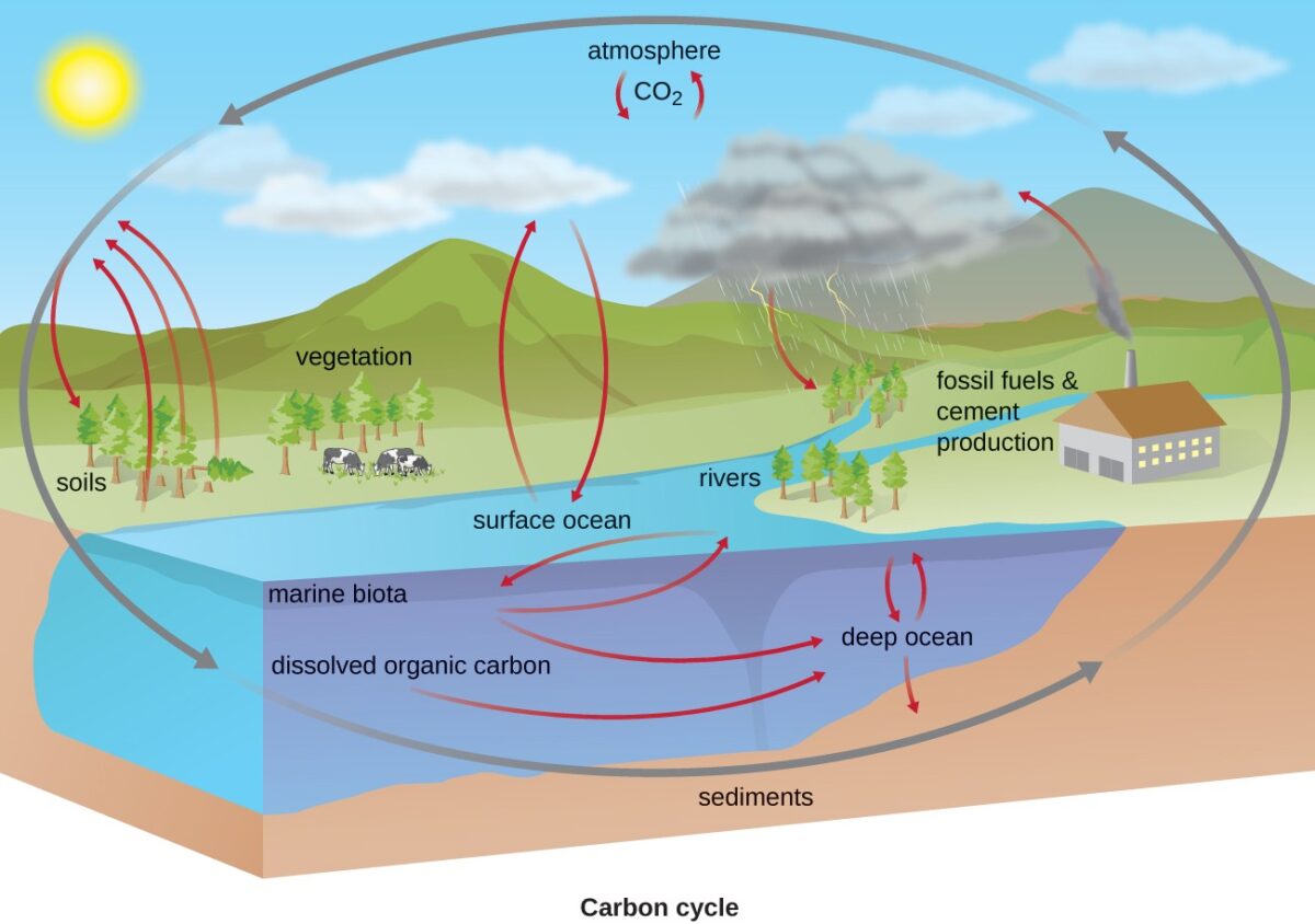 Why Does My Water Smell Like Rotten Eggs? Exploring Causes & Solutions